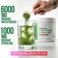 A hand pouring a scoop of NUTRAHOUSE wheatgrass & spirulina, showing its ingredient highlights.